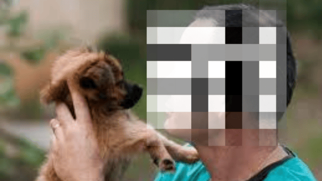 הווטרינר החשוד בהעלמת מס