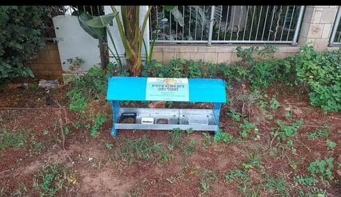 פינת האכלה של חתולי רחוב בפתח תקוה