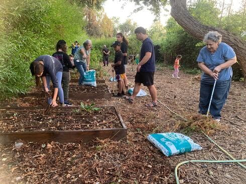 הגינה הקהילתית (צילום: עיריית קריית אתא) הגינה הקהילתית