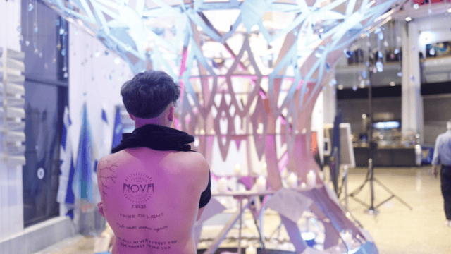 תערוכת WE ARE NOVA