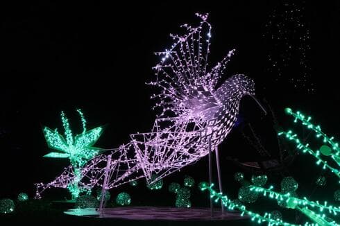 תערוכת "Winter Dreams" (צילום: MK illumination) תערוכת "Winter Dreams"