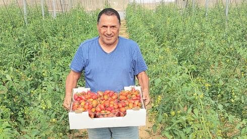 שייקה שקד