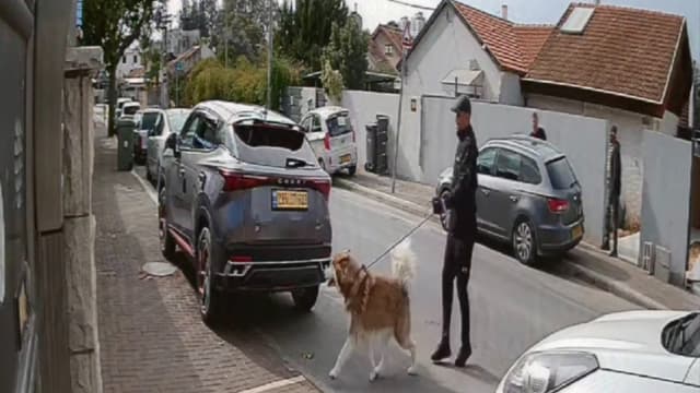 זירת האירוע