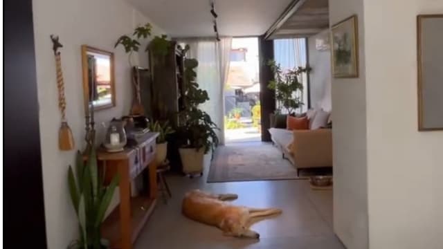הבית בחולון שמשגע את הגולשים בטיקטוק