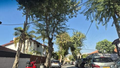 שיכון ותיקים בת ים. יש עדיין בתים חד קומתיים (צילום: איילת רוטה) שיכון ותיקים בת ים
