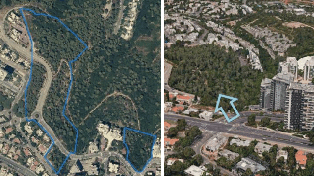 שטח התוכנית המיוער בסביוני דניה
