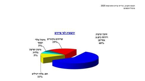 תקציב 2025