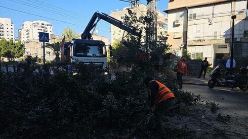 זירת קריסת העץ בפתח תקוה זירת קריסת העץ בפתח תקוה