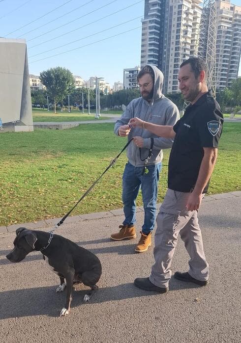 מבצע אכיפה של העירייה