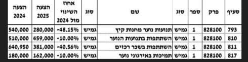 הקיצוץ בתקציב תנועות הנוער בחולון - 2025 לעומת 2024 (צילום מסך - הצעת תקציב 2025 בחולון) הקיצוץ בתקציב תנועות הנוער בחולון