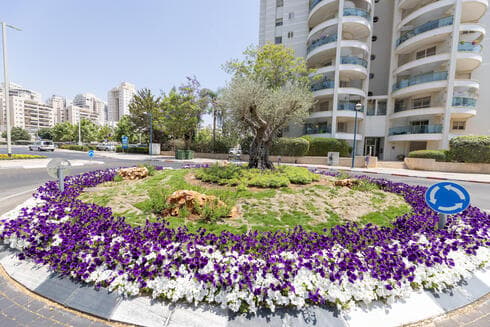 כיכר בפתח תקוה