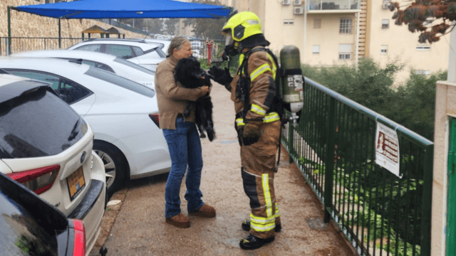 הכלב ניצל, הדירה נשרפה (צילום: כבאות והצלה) הכלב ניצל, הדירה נשרפה