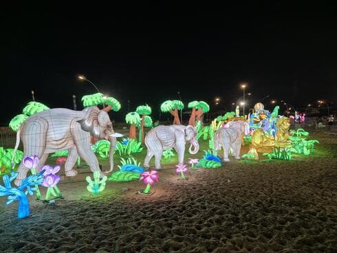 פסטיבל האורות נמל תל אביב, קיץ 2024
