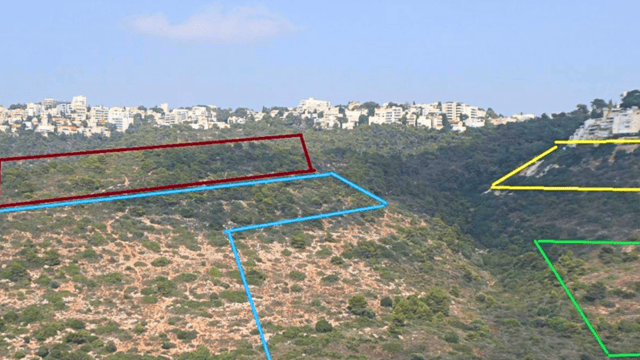 אלפי עצים ייכרתו. מסדרון אקולוגי ייהרס. שטח התוכנית