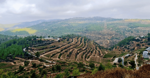 נוף לאורך שביל המעיינות לכיוון הסטף נוף לאורך שביל המעיינות לכיוון הסטף