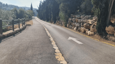 סובב הר הרצל (צילום: בלה נודלמן) סובב הר הרצל