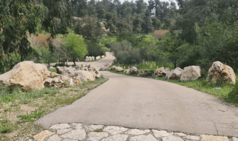 שביל ואדי עין כרם (צילום: בלה נודלמן) שביל ואדי עין כרם