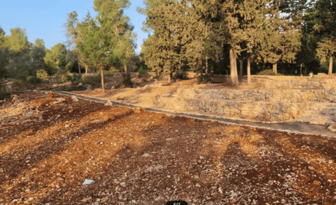 שביל מונגש יער קהילתי רמות (צילום: בלה נודלמן) שביל מונגש יער קהילתי רמות