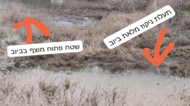 הצפות ביוב באזור הנחל