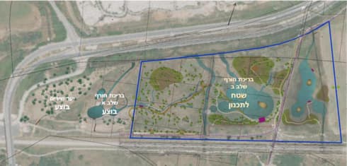 אגמון טבעי בפתח תקוה 