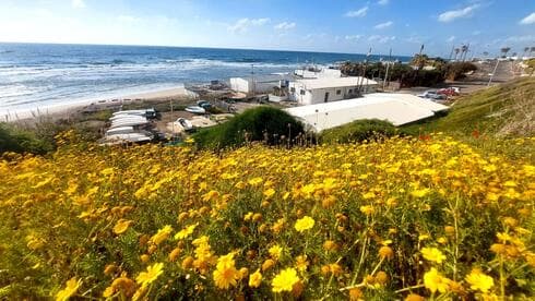 בור הסיד. כאן יקום מלון חדש? 
