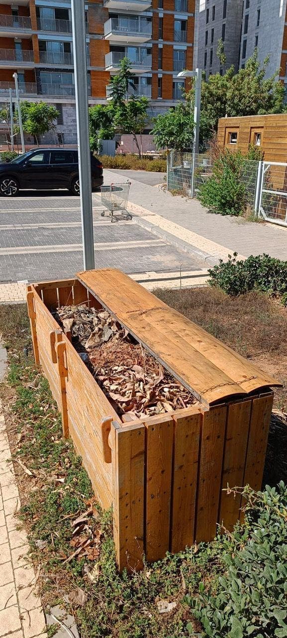 המשלכת ברחבי הרצליה