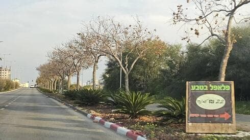 פוד טראק פלאפל בראשון לציון. רק תפנו ימינה (צילום: פרטי) פודטראק פלאפל בראשון לציון