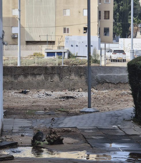 רחוב המעפילים היום (צילום: פרטי) רחוב המעפילים היום