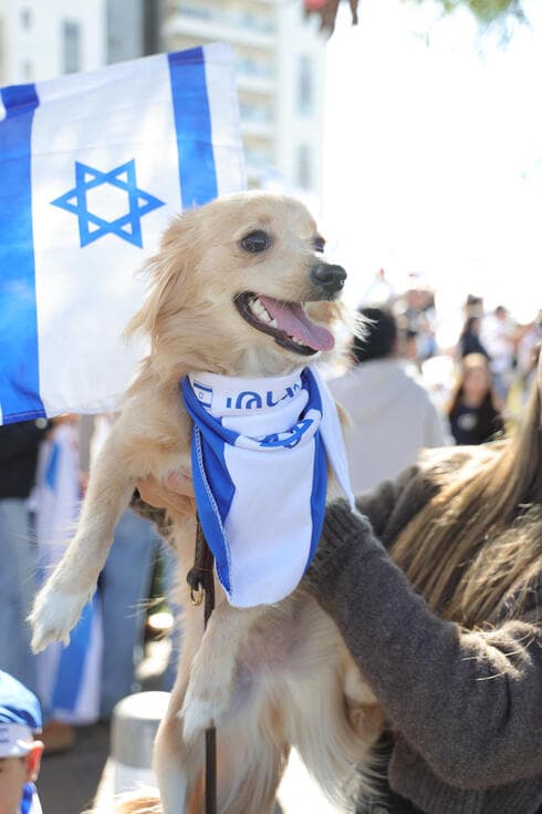 השמחה על חזרת דניאלה גלבוע בפתח תקוה
