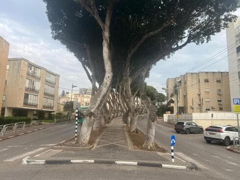 שדרות הציונות בקרית אתא