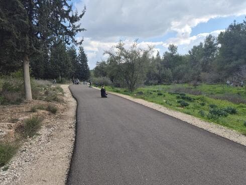 יער ראש העין 2025