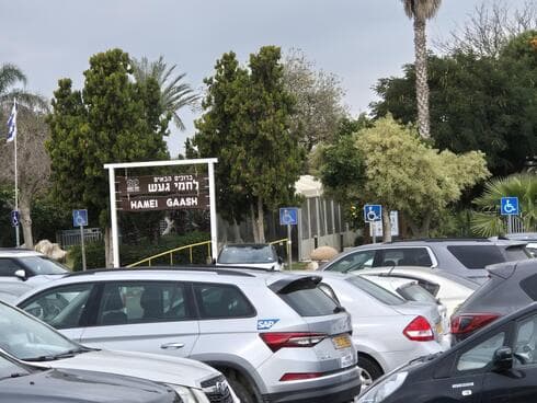 חמי געש (צילום: שירות מיינט) חמי געש