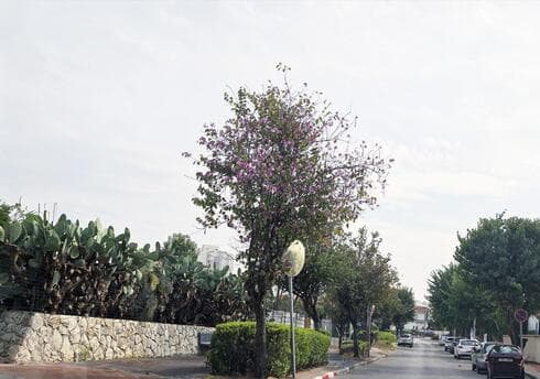 שכונת השומר בראשון לציון