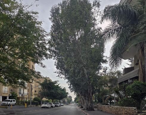 שכונת השומר בראשון לציון