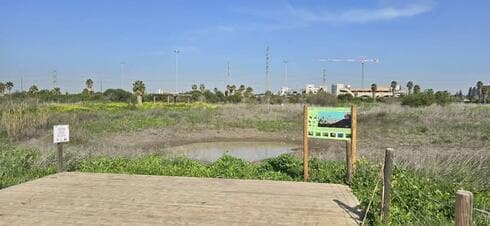 בריכת החורף פתח תקוה