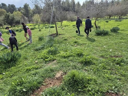מטיילים ביער ראש העין