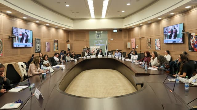 ועדת החינוך, התרבות והספורט - הדיון בנושא חזירי הבר בחיפה (צילום: דוברות הכנסת, דני שם טוב) ועדת החינוך, התרבות והספורט בראשות ח"כ יוסף טייב