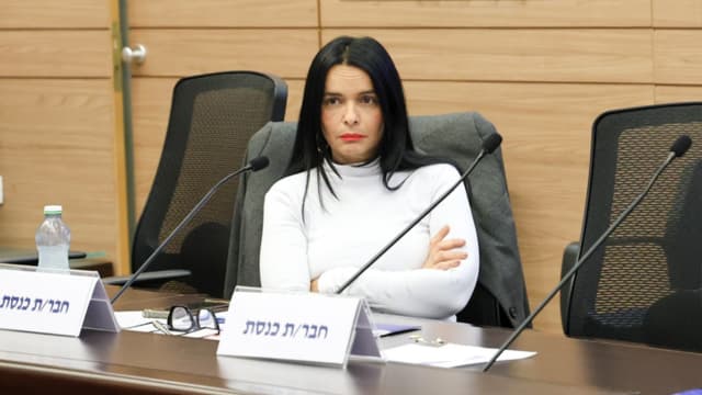 ח"כ יסמין פרידמן, יזמה את הדיון בנושא חזירי הבר בחיפה (צילום: דוברות הכנסת, דני שם טוב) ח"כ יסמין פרידמן, יזמה את הדיון