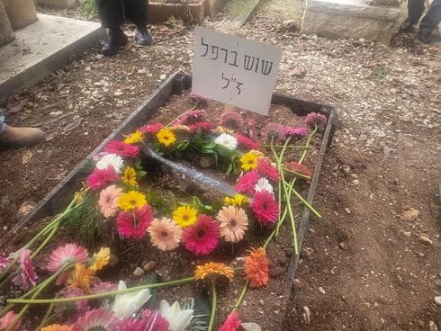 שוש ברפל ז"ל