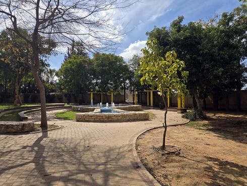 שכונת כלניות בראשון לציון