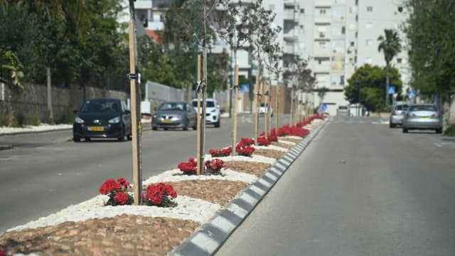 רחוב זלמן שזר נתניה