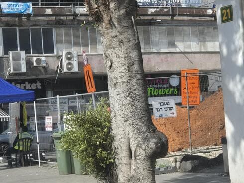 עבודות רחוב בר כוכבא פתח תקוה (צילום: שירות מיינט) עבודות רחוב בר כוכבא פתח תקוה