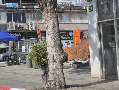 עבודות רחוב בר כוכבא פתח תקוה עבודות רחוב בר כוכבא פתח תקוה