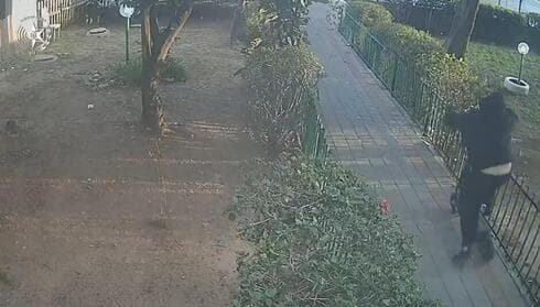 השליך רימון רסס בבניין בבת ים וברח