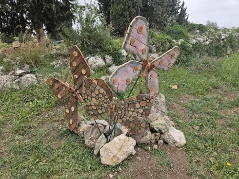 מטיילים ליד הבית במודיעין. אמנות בין הברושים 