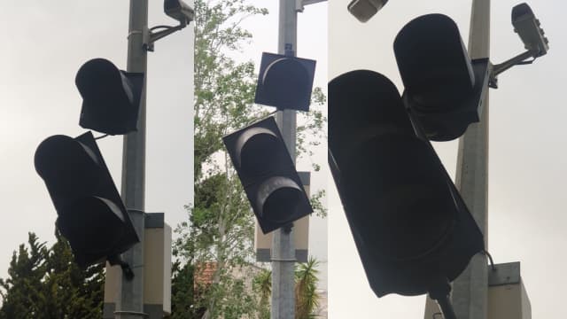"רציתי שיסתכלו על חיפה". היצירה של פיינרו בחיפה