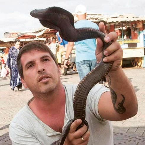 משה לוי, לוכד נחשים מקרית ביאליק