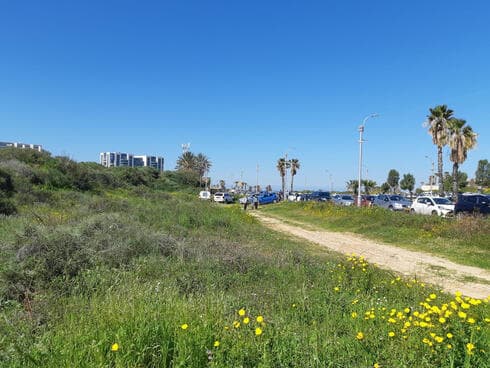 תל מיכל