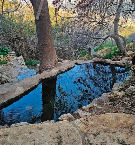 עין מבשר