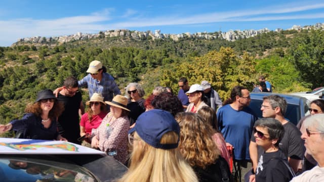 מפגן כח של תושבי אחוזה. סיור חברי ועדת תכנון ובנייה חיפה במורדות לינקולן (צילום: ההר הירוק) סיור חברי ועדת תכנון ובנייה חיפה במורדות לינקולן